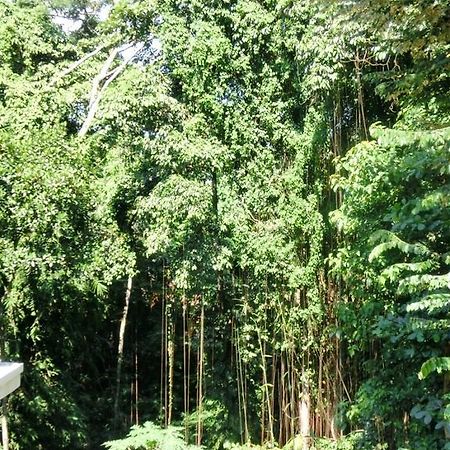 Latugu Homestay Ubud Εξωτερικό φωτογραφία