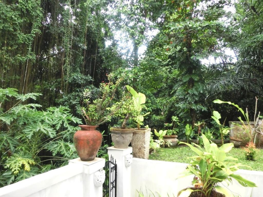Latugu Homestay Ubud Δωμάτιο φωτογραφία